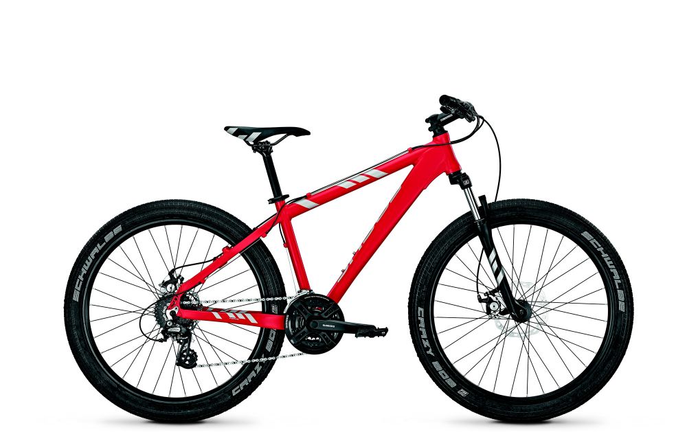 Dirtbike Fokus